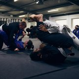6-Week Adult Beginners Course