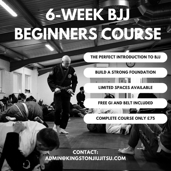 6-Week Adult Beginners Course
